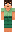 skin of a player