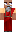 skin of a player
