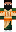 skin of a player