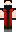 skin of a player
