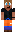 skin of a player