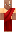 skin of a player