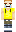 skin of a player