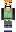 skin of a player