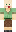 skin of a player
