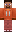 skin of a player