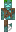 skin of a player