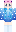 skin of a player