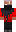 skin of a player