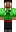 skin of a player