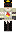 skin of a player