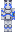 skin of a player