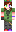 skin of a player