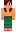 skin of a player