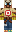 skin of a player