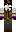 skin of a player