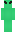 skin of a player
