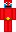 skin of a player