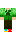 skin of a player