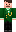 skin of a player