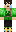 skin of a player