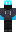 skin of a player