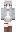 skin of a player