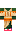 skin of a player