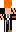 skin of a player