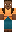 skin of a player