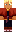 skin of a player