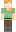 skin of a player