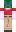 skin of a player