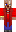 skin of a player