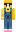 skin of a player
