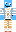 skin of a player