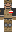 skin of a player
