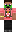 skin of a player