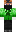 skin of a player