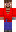 skin of a player