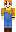 skin of a player