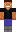 skin of a player
