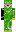 skin of a player
