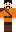 skin of a player