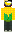 skin of a player