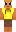 skin of a player