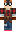 skin of a player