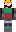 skin of a player