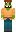skin of a player