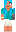 skin of a player
